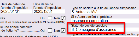 Screen Capture: Special corporation status on the Info worksheet