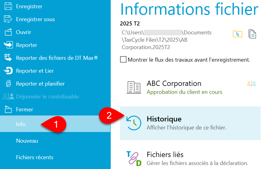 Capture d’écran : Renseignements du fichier