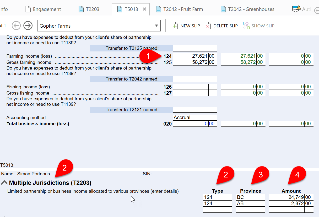 Screen Capture: T5013 Multiple Jurisdictions (T2203)