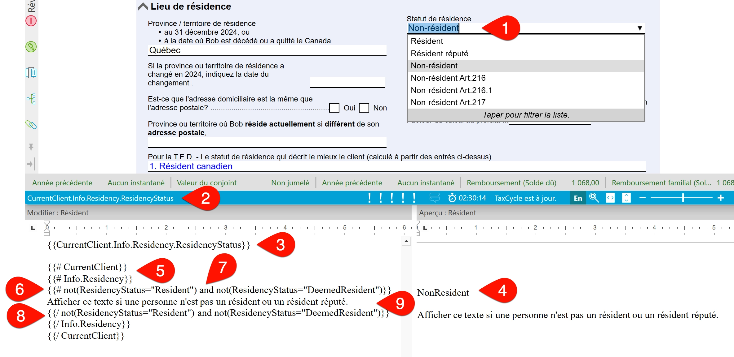 Capture d'écran : Exemple d'une condition qui vérifie si le contribuable est un non-résident