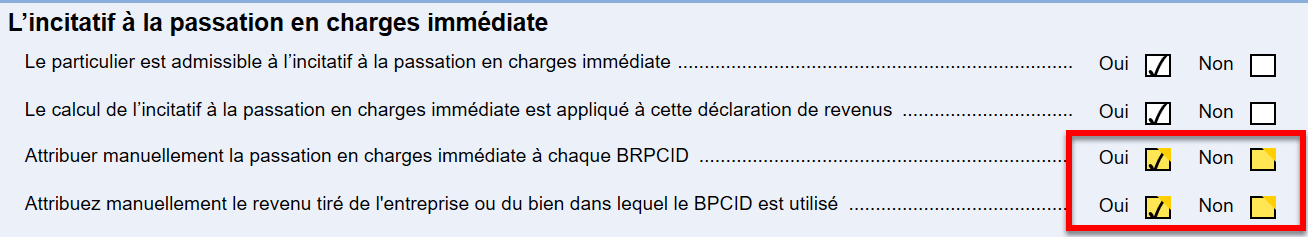 Screen Capture: Immediate Expensing Questions on CCA Claim Worksheet