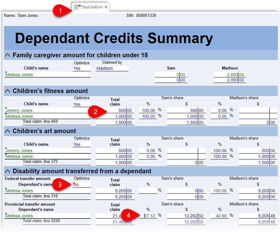 Review dependant credits claimed on the DepCredSum