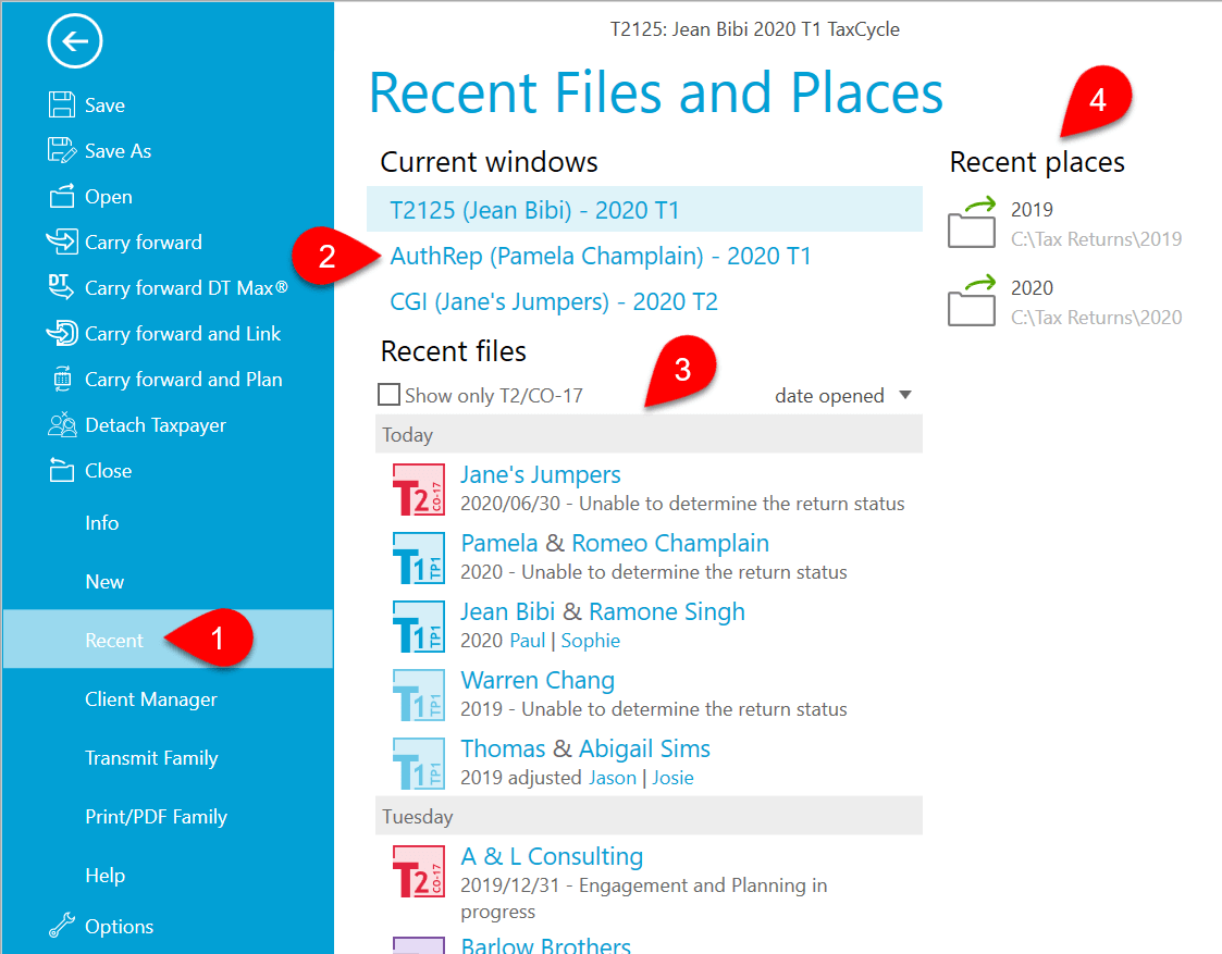 Screen Capture: Recent Files and Places