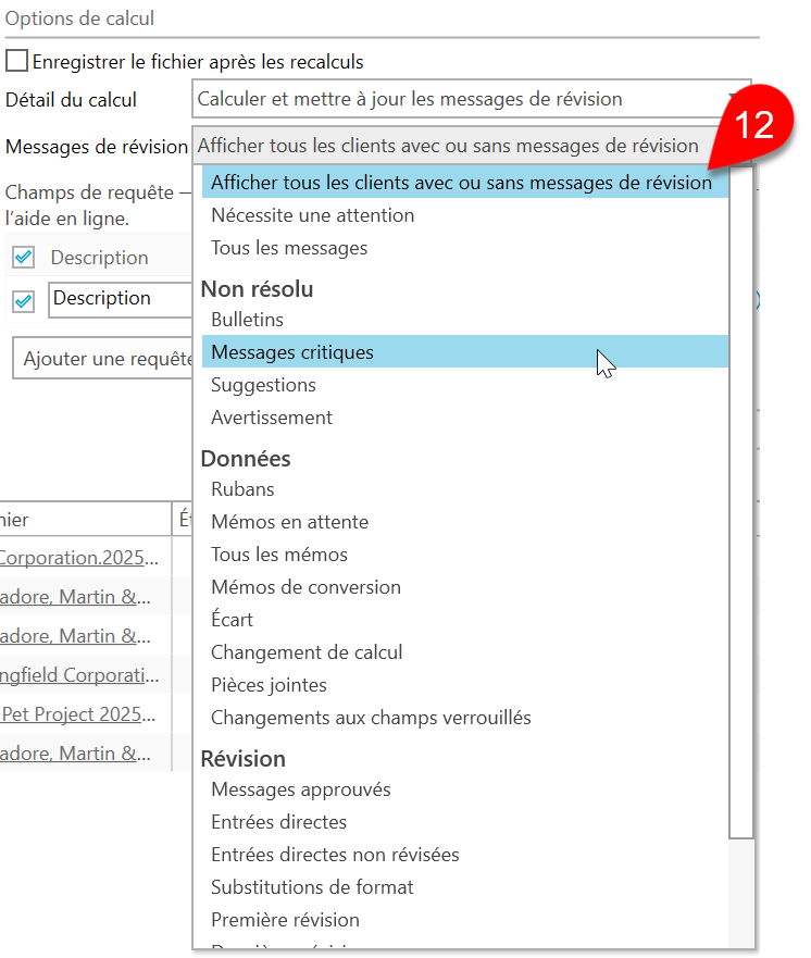 Capture d'écran : Options des messages de révision pour le calcul par lots
