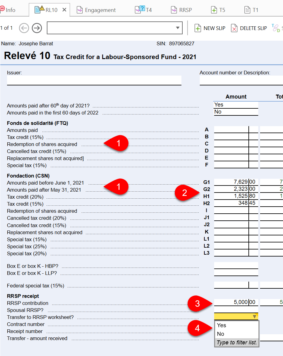 Screen Capture: RL10 Data Entry Slip