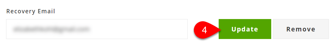 Screen Capture: Update Recovery Email