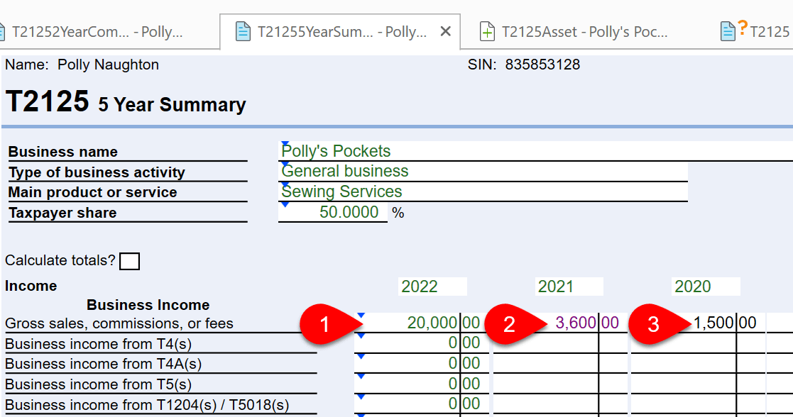 Screen Capture: T21255YearSummary