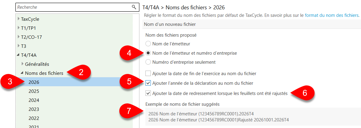 Capture d’écran : Options de nommage des fichiers T4
