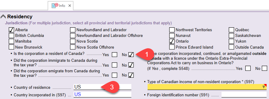 Screen Capture: Non-resident corporation