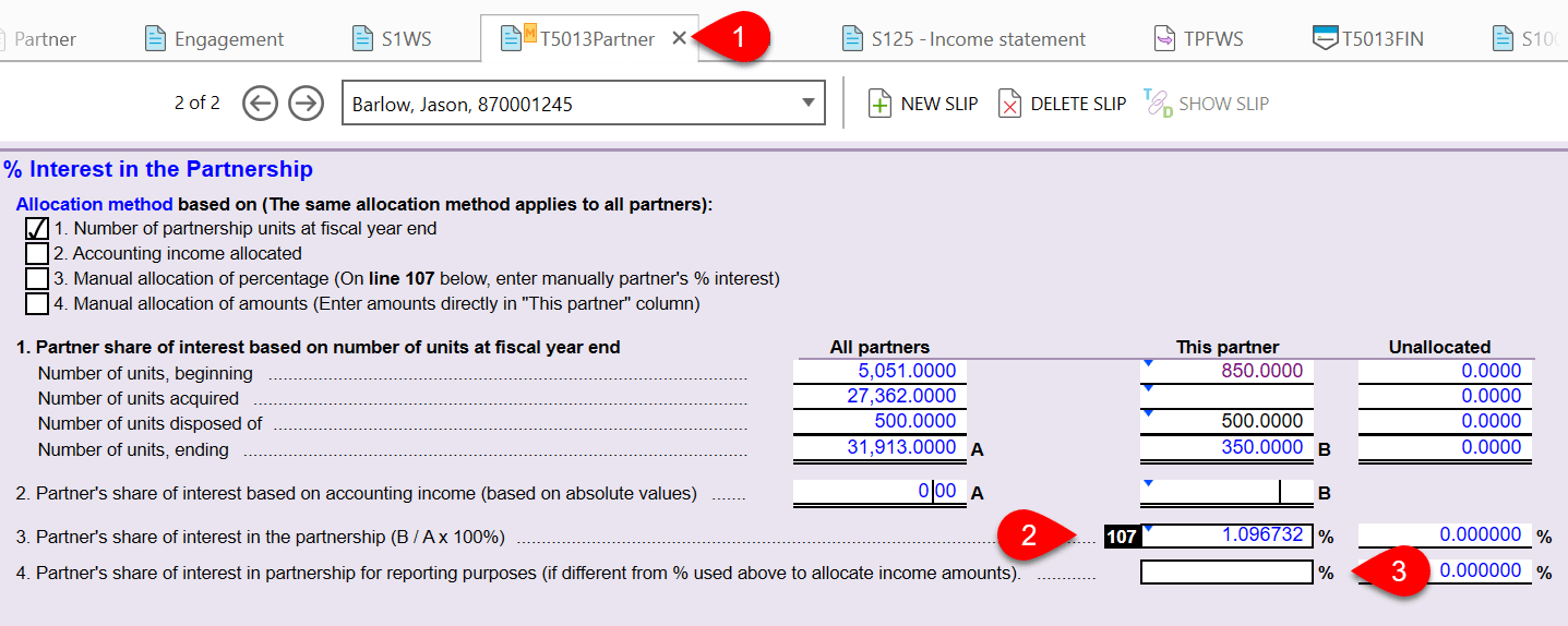 Screen Capture: T5013Partner