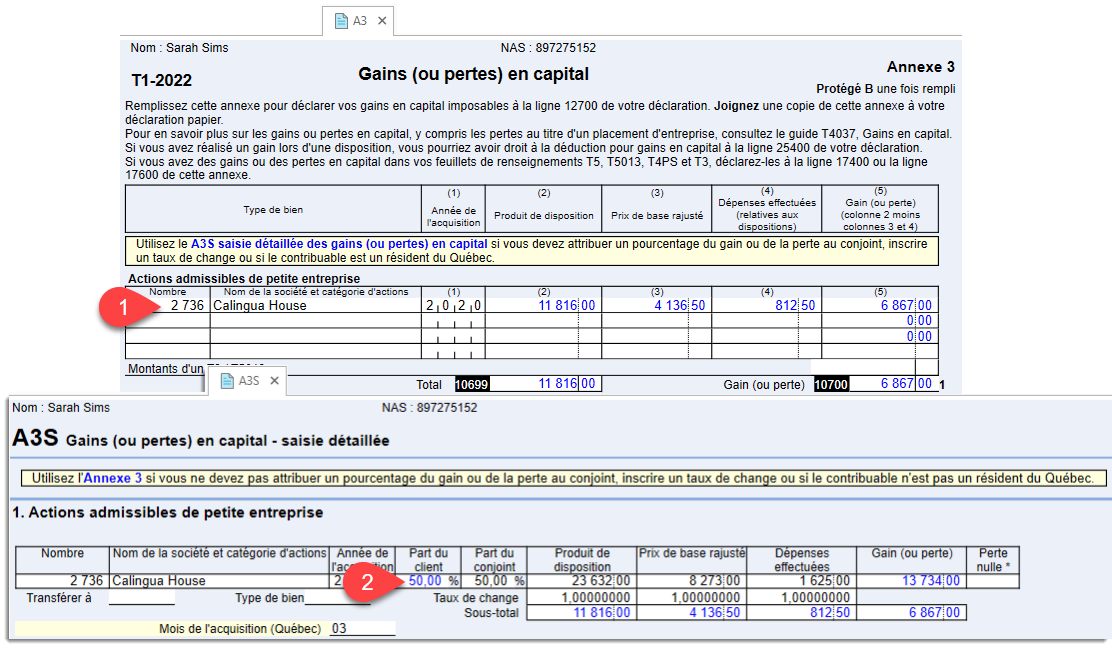 Capture d'écran : Grille de calcul des gains en capital et de l'annexe 3 de saisie (A3S)