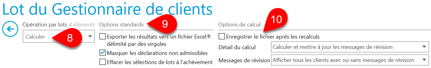 Capture d'écran : Options de calcul par lots