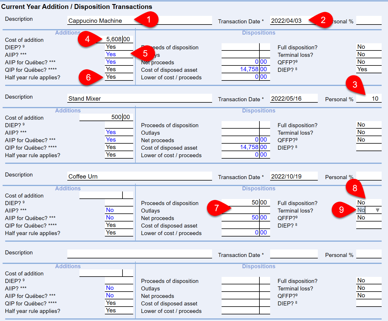 Screen Capture: Current Year Addition / Disposition Transactions