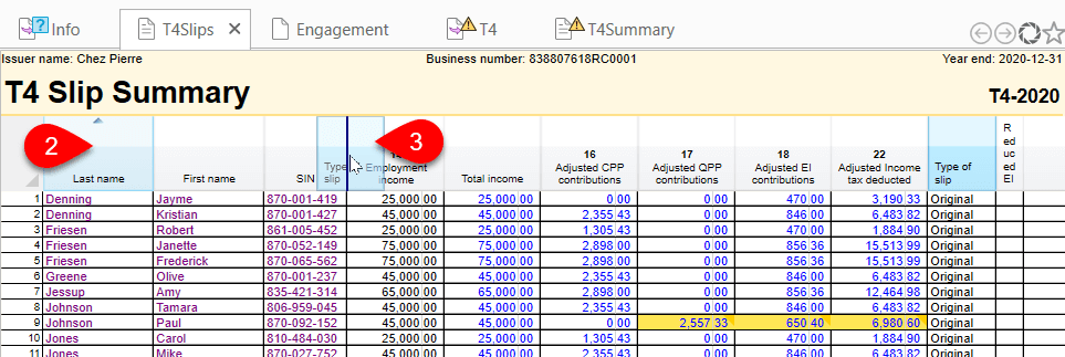 Screen capture of T4 Slip Summary