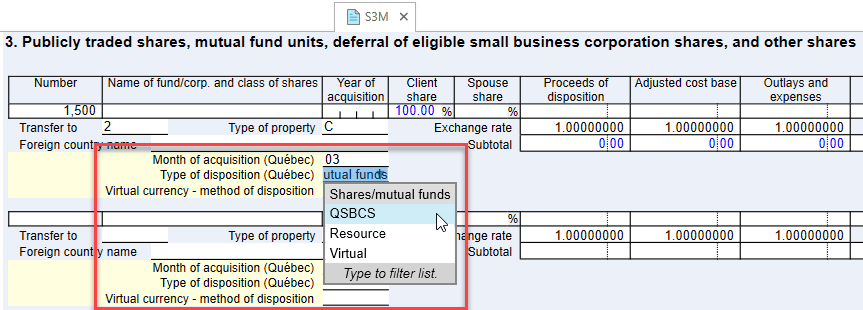 Screen Capture: Enter QC capital gains