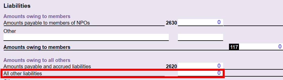 Screen Capture: All other liabilities field on T1044WS