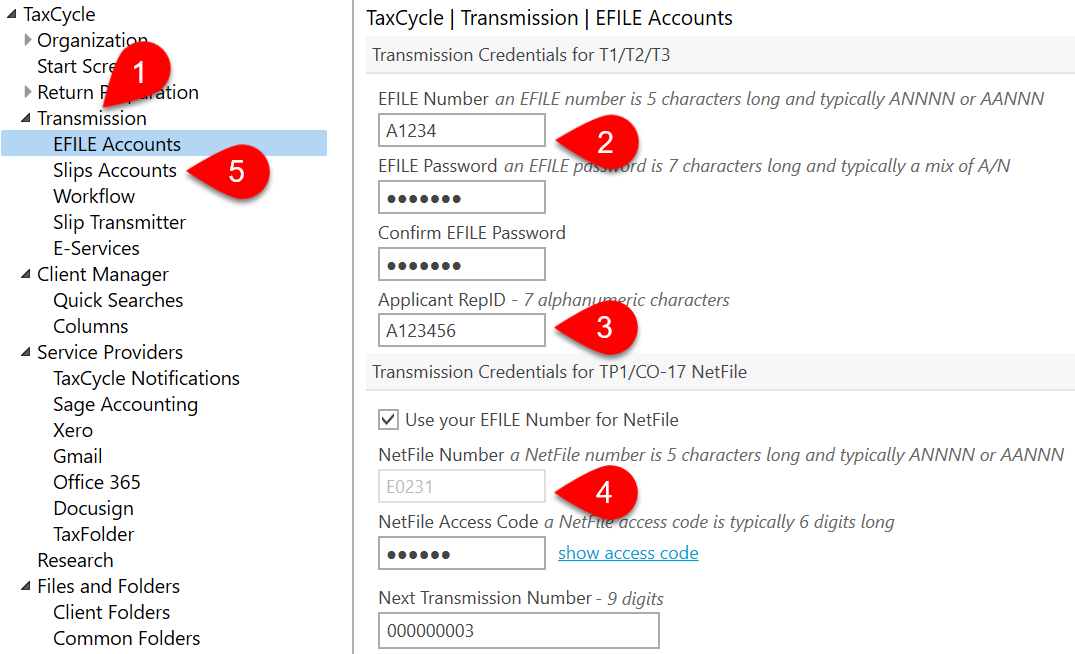 Screen Capture: EFILE Accounts Options