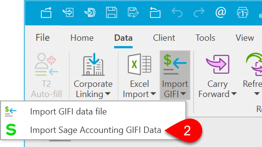 Screen Capture: Import Sage Accounting GIFI Data