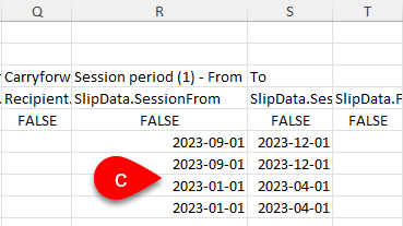 Screen Capture: Date format to enter in Excel template