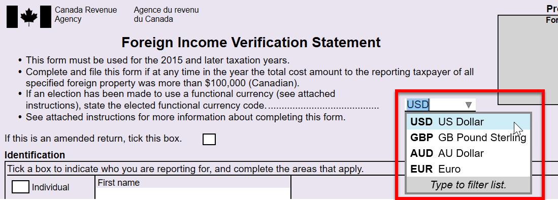 Screen Capture: Elected Functional Currency Code