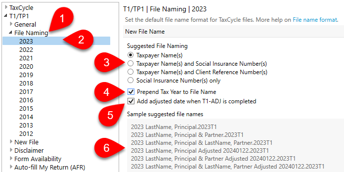 Screen Capture: File Naming Options