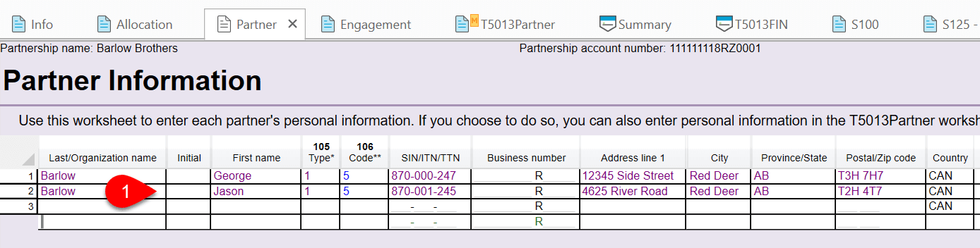 Screen Capture: Partner Worksheet