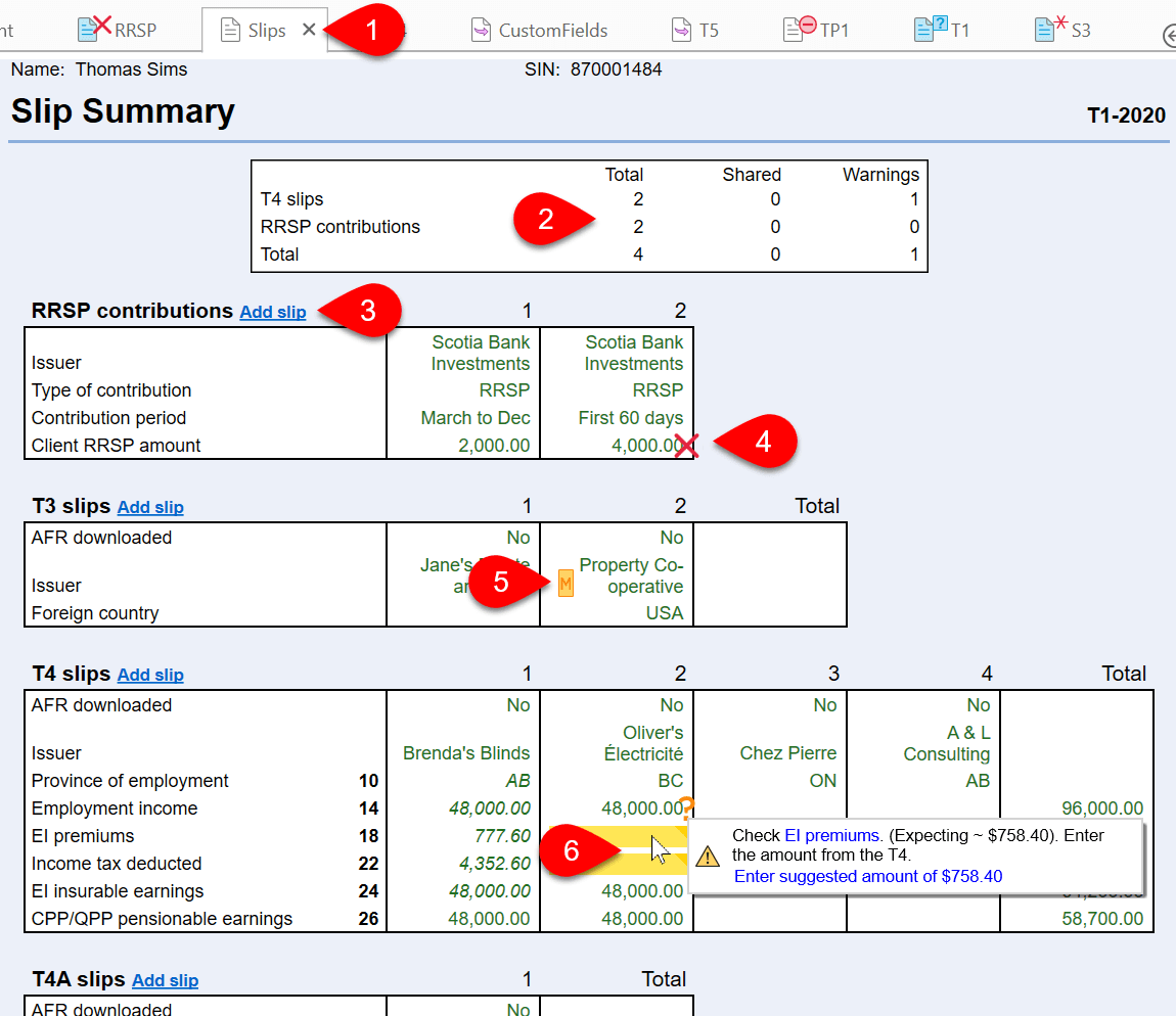 Screen Capture: T1 Slips Summary