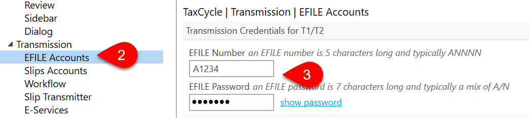 Screen Capture: EFILE Accounts Options