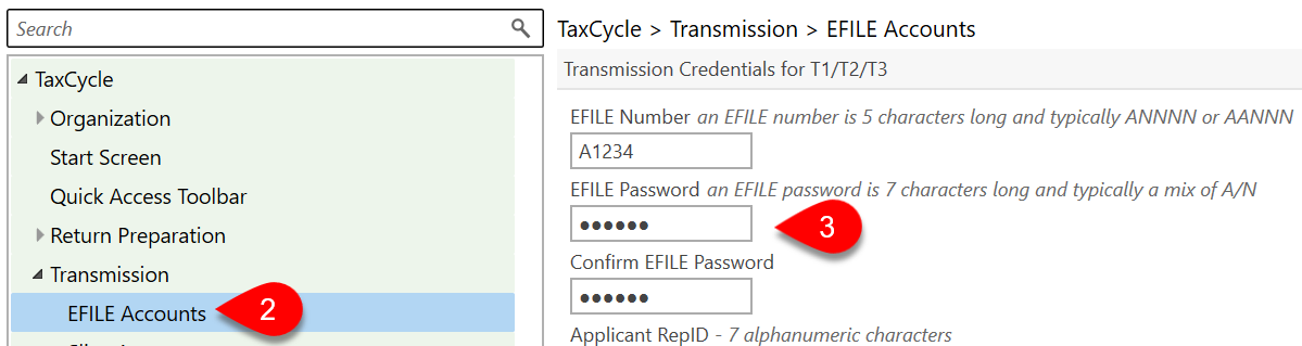 Screen Capture: EFILE Accounts Options