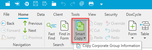 Screen Capture: Smart Copy Corporate Group Information