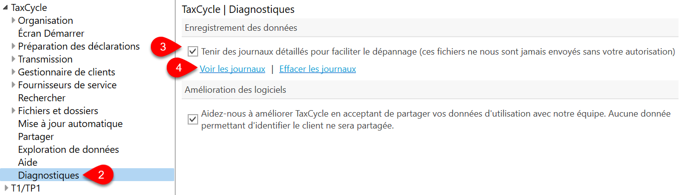 Capture d’écran : Options de diagnostiques