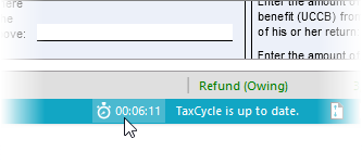 Timer at the bottom of the TaxCycle window