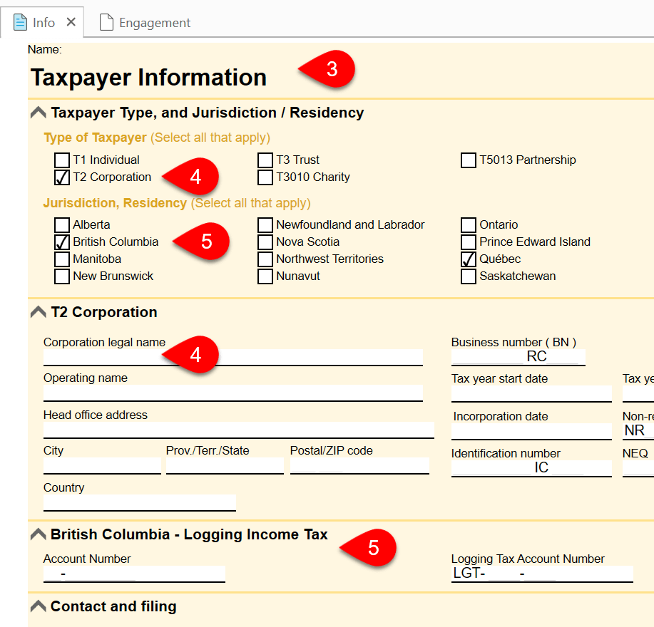 Screen Capture: TaxCycle Forms Info Worksheet