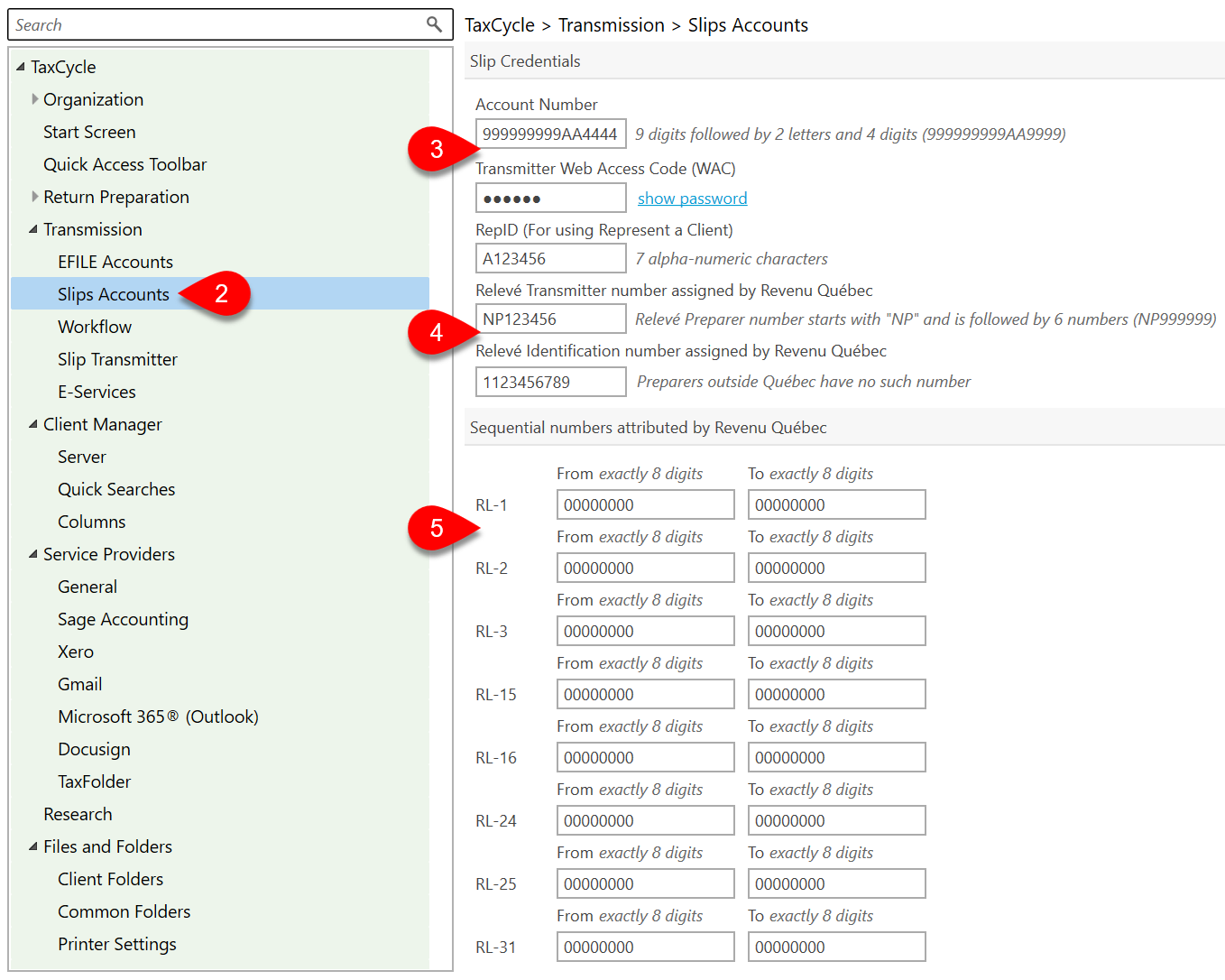 Screen Capture: Slips Accounts