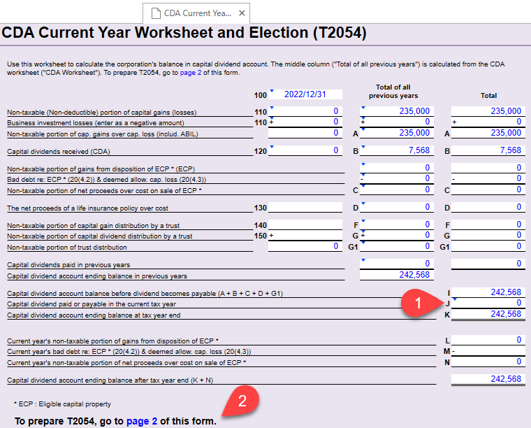 Screen Capture: Current year CDA worksheet