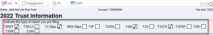 Screen Capture: Select type of T3 return on the Info worksheet