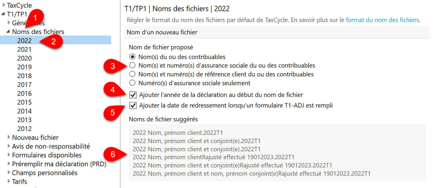 Screen Capture: Options noms des fichiers