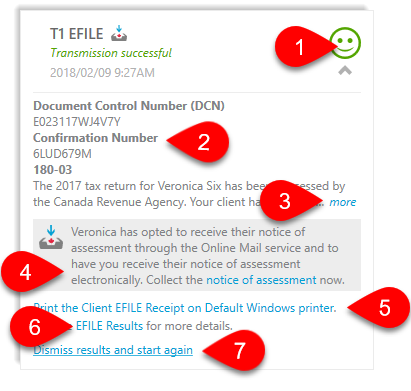 efile-success