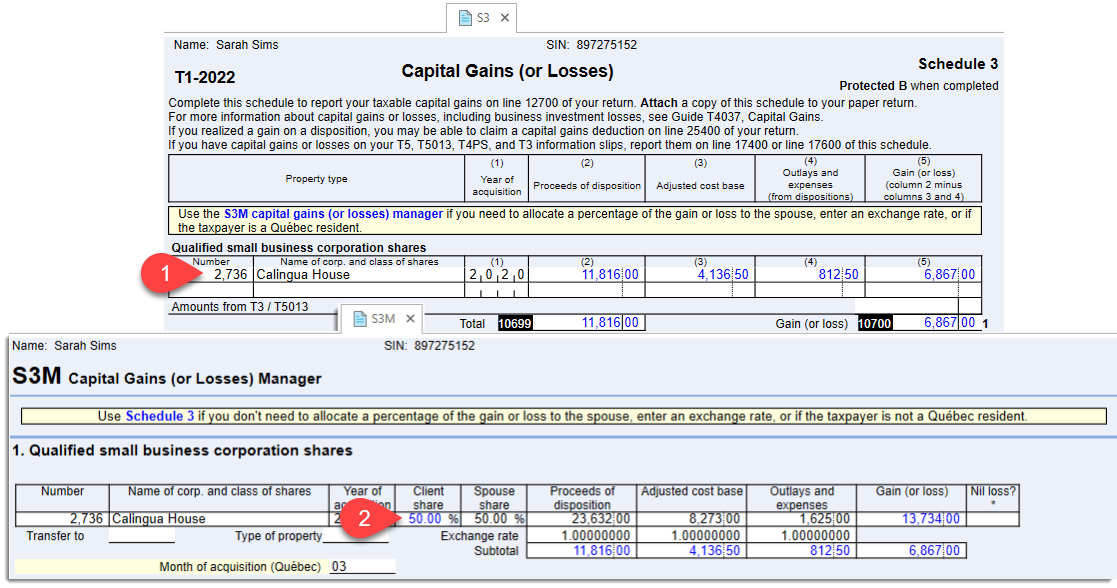 Screen Capture: vCapital gains and Schedule 3 Manager (S3M) worksheet