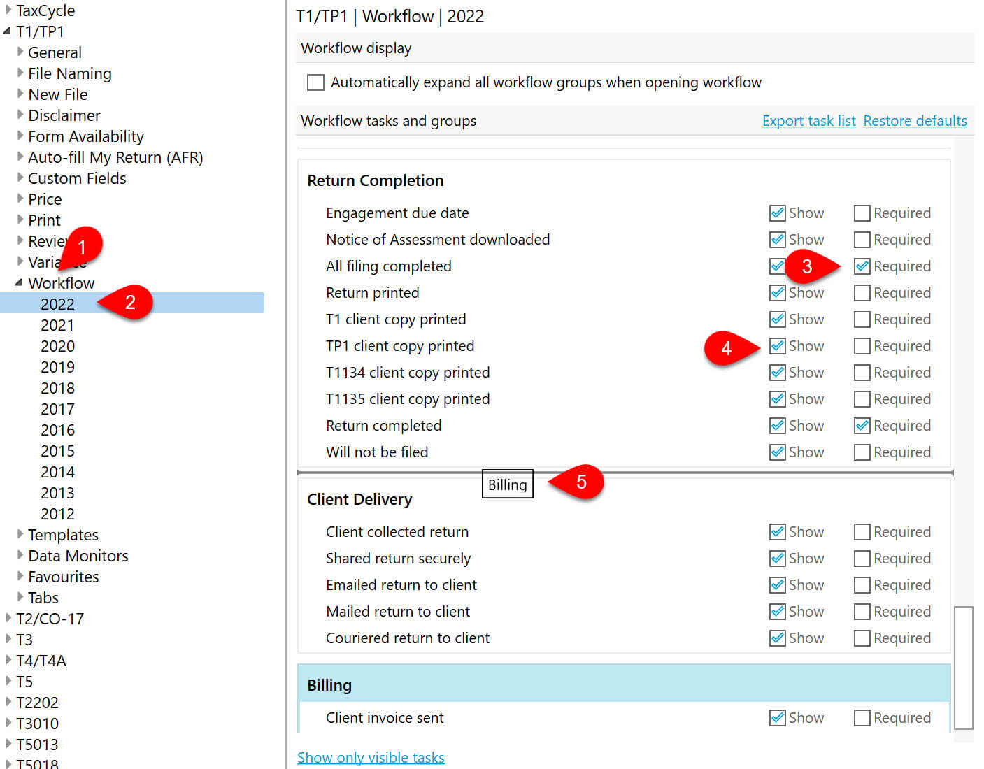 Screen Capture: Workflow Options