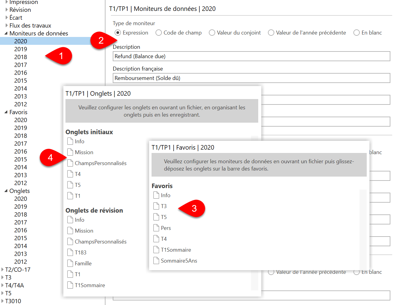 Capture d’écran : Options for Data Monitors, Favourites and Tabs