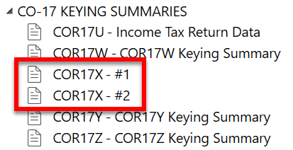 Screen Capture: CO-17 Keying Summaries