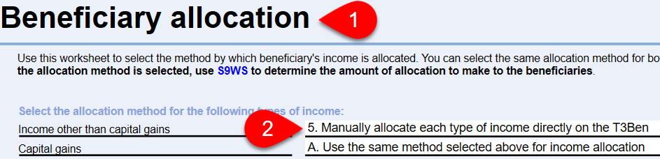 Screen Capture: Beneficiary allocation worksheet