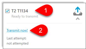 2018-t1134-efile-ready-to-transmit