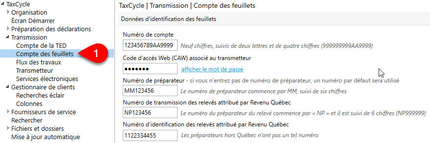 Capture d’écran : Page Comptes de feuillets dans les options