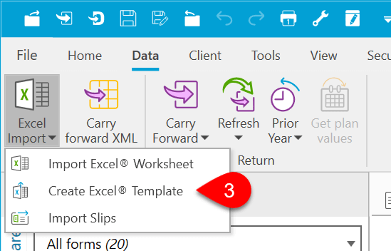 Screen Capture: Create Excel Template