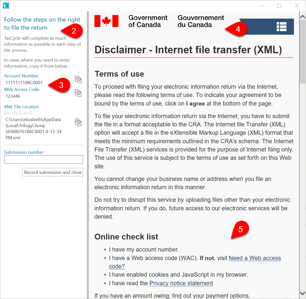 Screen Capture: Start the Internet File Transfer