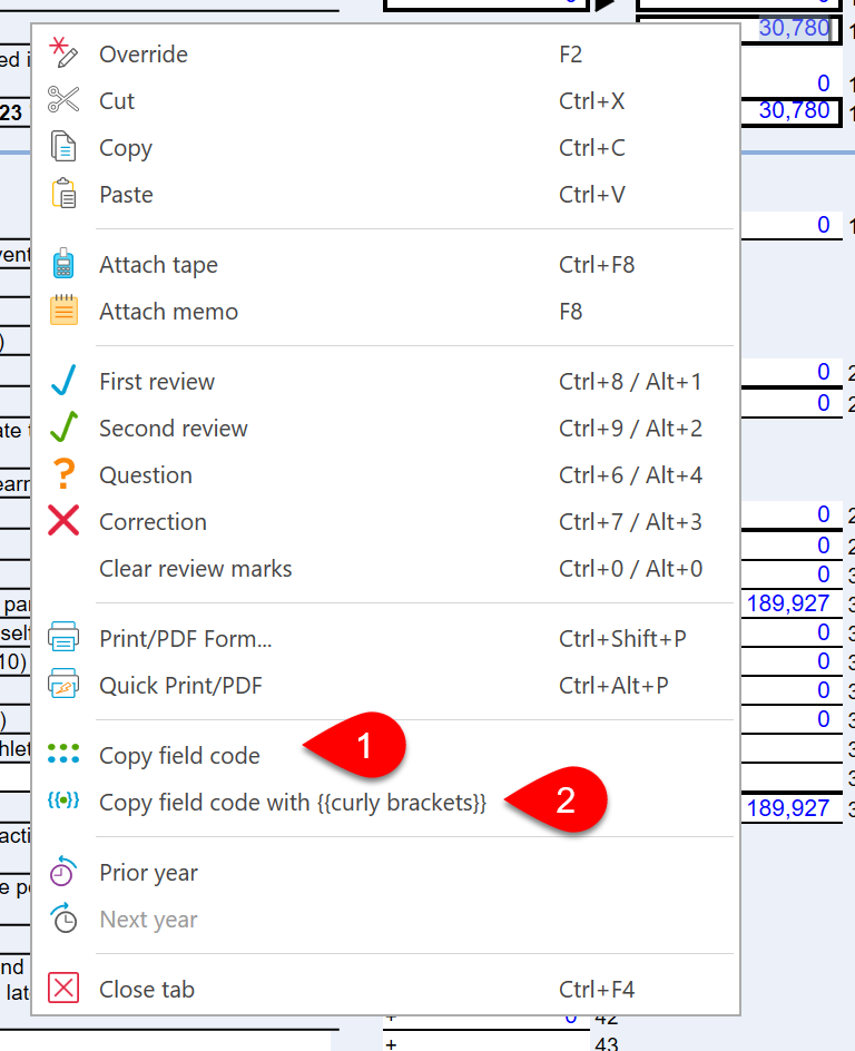 Screen Capture: Copy field code
