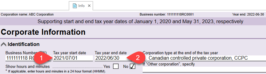 Screen Capture: Enter the tax year start date and end date on the Info worksheet
