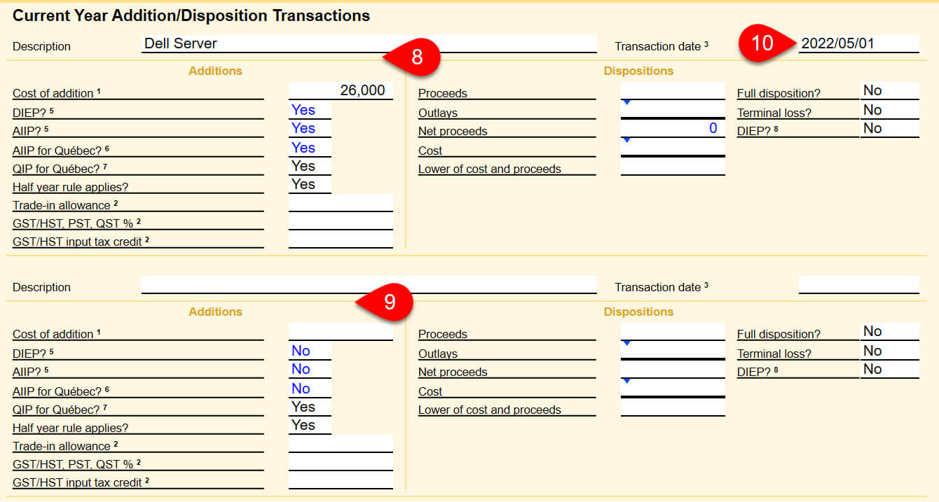 Screen Capture: Current Year Addition/Disposition Transactions